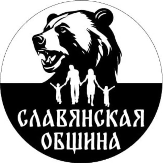 Логотип max канала - Новости Славянской Общины: актуальные события и обновления MAX - Новости и СМИ