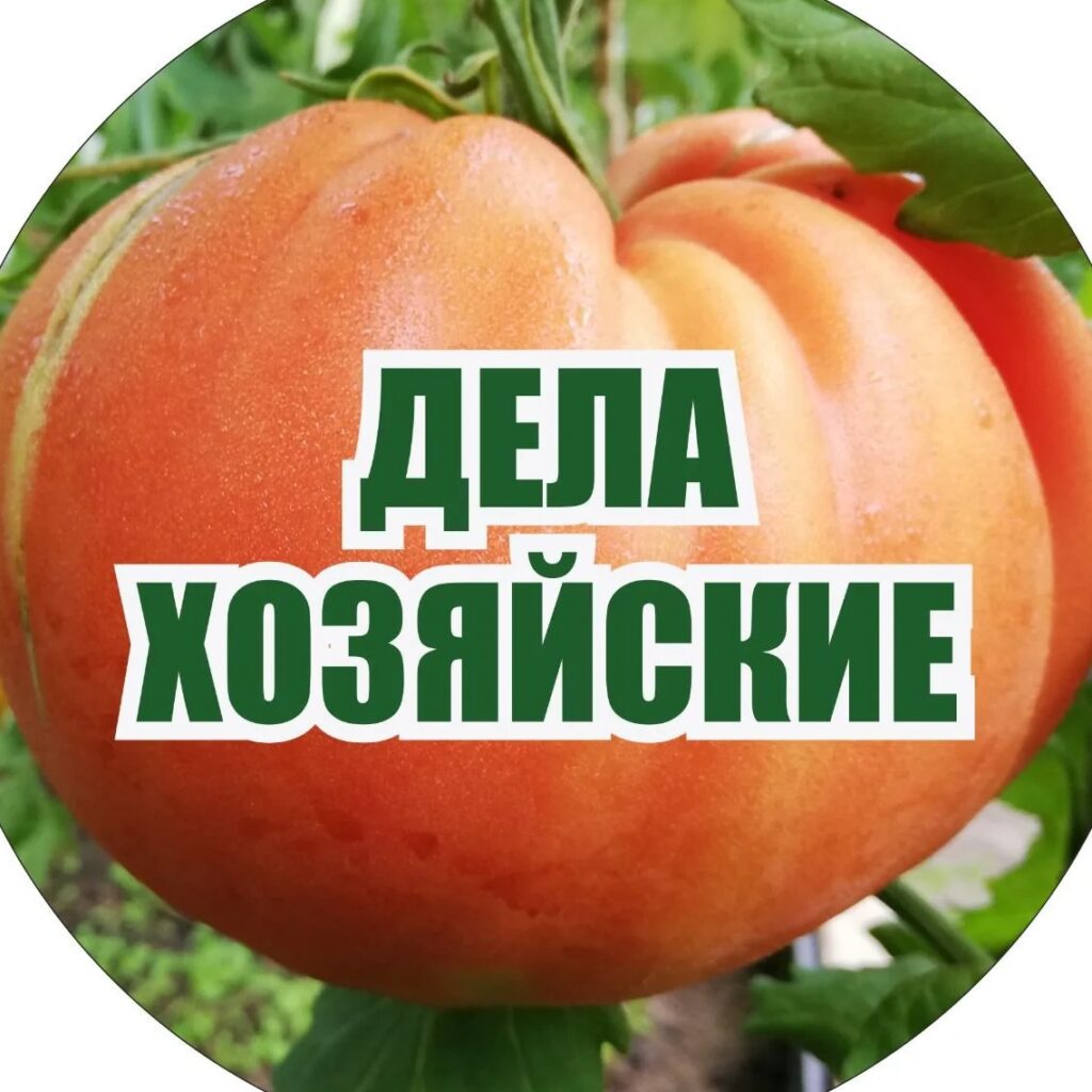 Логотип max канала - Опыт Елены по ведению хозяйства и уходу за домом - Канал