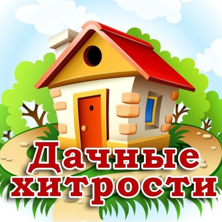 Логотип max канала - Дачные хитрости для успешного сада и огорода MAX - Рукоделие